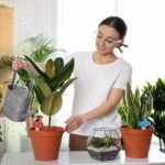 Set 4 conuri, de lut, pentru irigatii plante, 16 x 8,5 cm - imagine 6