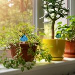 Set 4 conuri, de lut, pentru irigatii plante, 16 x 8,5 cm - imagine 4