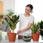 Set 4 conuri mari, de lut, pentru irigatii plante, 16 x 8,5 cm - imagine 4