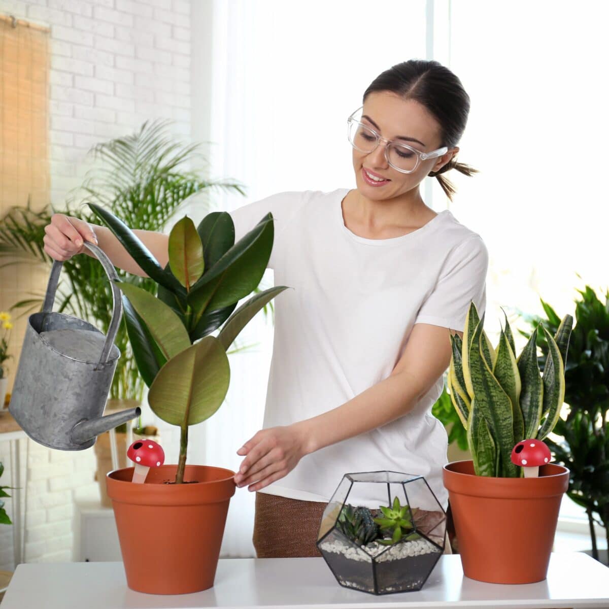Set 4 conuri mari, de lut, pentru irigatii plante, 16 x 8,5 cm - imagine 3