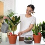 Set 4 conuri mari, de lut, pentru irigatii plante, 16 x 8,5 cm - imagine 3