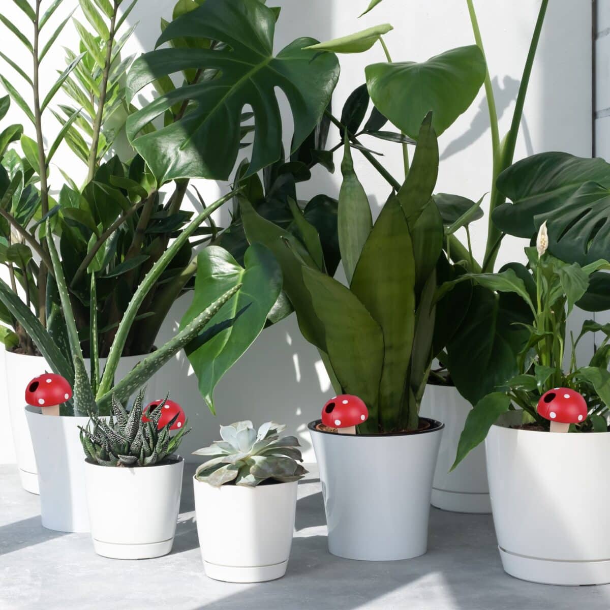 Set 4 conuri mari, de lut, pentru irigatii plante, 16 x 8,5 cm - imagine 5