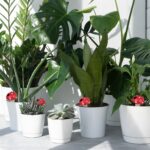 Set 4 conuri mari, de lut, pentru irigatii plante, 16 x 8,5 cm - imagine 5