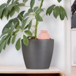 Set 4 conuri, de lut, pentru irigatii plante, 12 x 6 cm, natur - imagine 2