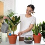 Set 4 conuri, de lut, pentru irigatii plante, 11,5 x 6,5 cm - imagine 3