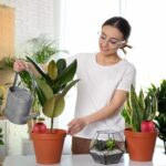 Set 4 conuri mari, de lut, pentru irigatii plante,  18 x 9 cm, rosu - imagine 3