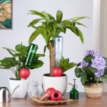 Set 4 conuri mari, de lut, pentru irigatii plante,  18 x 9 cm, rosu - imagine 5