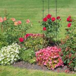 Set 5 spaliere pentru plante cataratoare si rosii, fier/plastic, Relaxdays, 120 x 28 cm, negru - imagine 4
