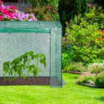 Sera de gradina, otel/plastic, verde, 197 x 197 x 77 cm - imagine 2