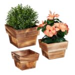 Set 3 ghivece de flori, din lemn, dimensiuni diferite, natur