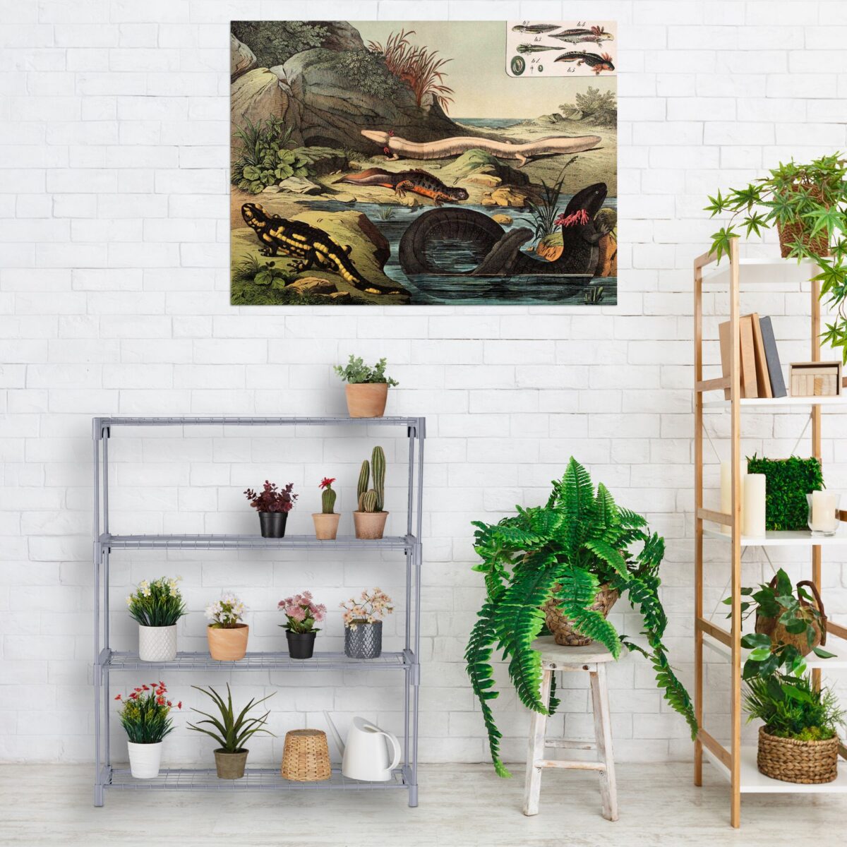 Suport pentru plante, stand de flori, 4 etajere, 106 x 91 x 28 cm, gri - imagine 3