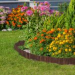 Bordura separatoare pentru gazon, 2 m, lemn, maro - imagine 6