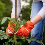 Tarusi din bambus pentru sustinere plante, set 40, 120 cm - imagine 2