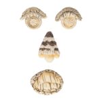Decoratiune de gradina, 4 piese, polirasina, crem