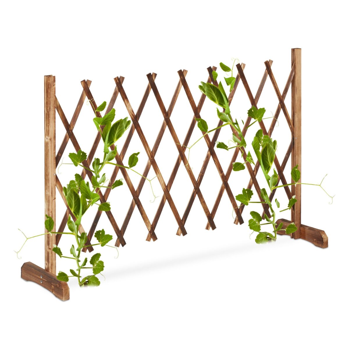 Spalier extensibil pentru flori cataratoare, lemn, 73 x 28 cm, maro - imagine 3