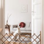 Spalier extensibil pentru flori cataratoare, lemn, 73 x 28 cm, maro - imagine 7