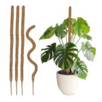 Set 5 betisoare nuca de cocos pentru sustinere flori, 90 cm