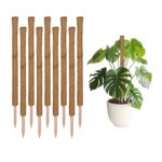 Set 10 betisoare nuca de cocos pentru sustinere flori, 90 cm