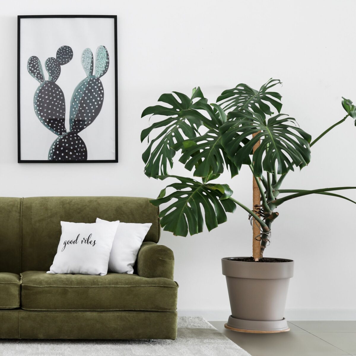 Set 10 betisoare nuca de cocos pentru sustinere flori, 90 cm - imagine 4