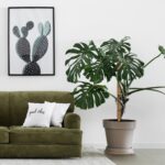 Set 10 betisoare nuca de cocos pentru sustinere flori, 90 cm - imagine 4