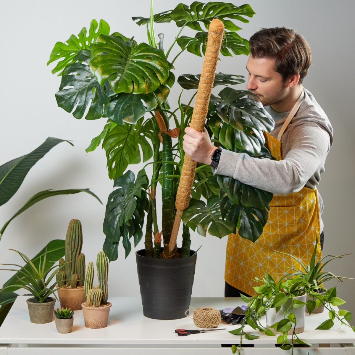 Set 10 betisoare nuca de cocos pentru sustinere flori, 90 cm - imagine 3