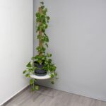 Set 10 betisoare nuca de cocos pentru sustinere flori, 90 cm - imagine 6