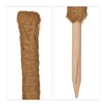 Set 10 betisoare nuca de cocos pentru sustinere flori, 90 cm - imagine 7