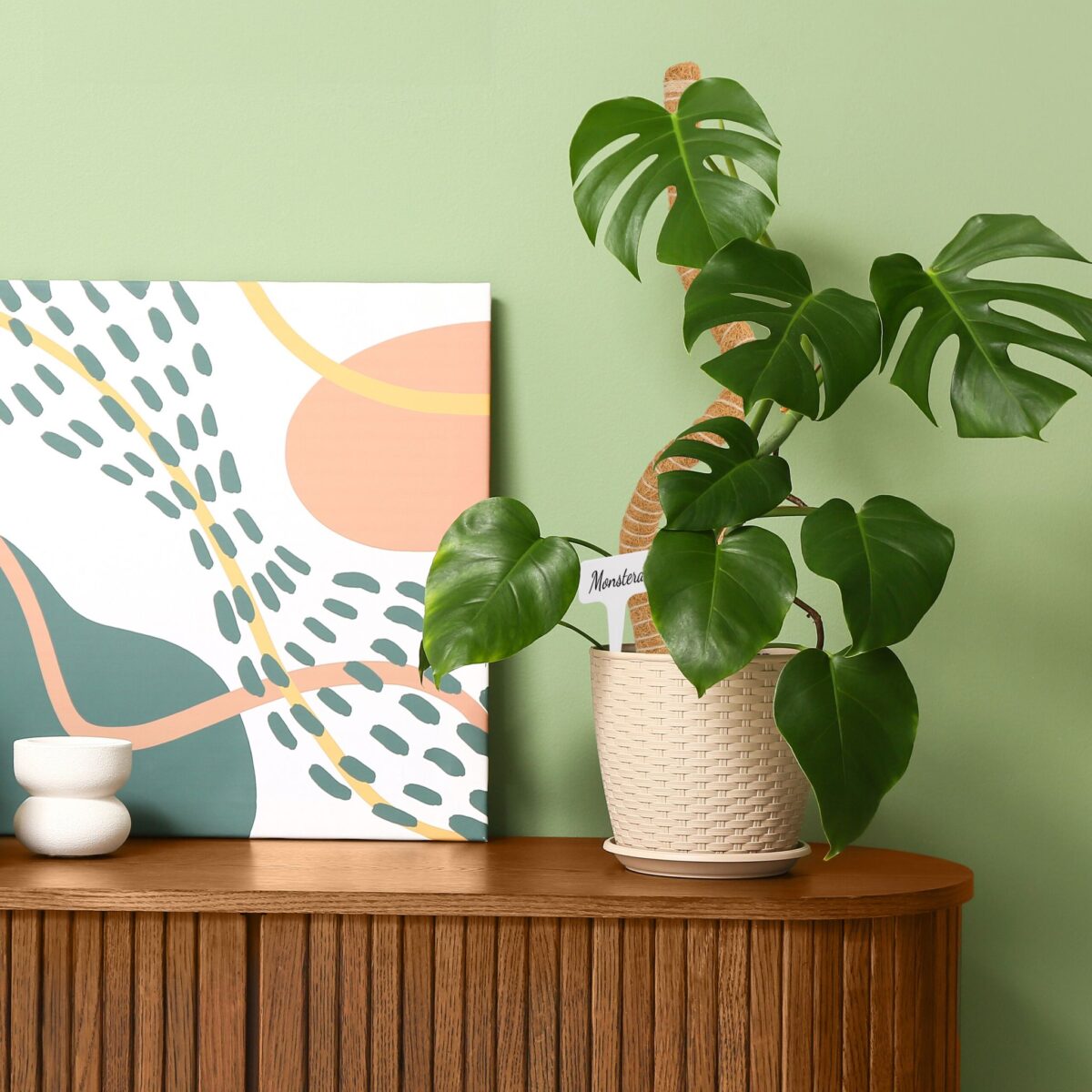 Set 2 betisoare nuca de cocos pentru sustinere flori, 65 cm, accesorii incluse - imagine 4