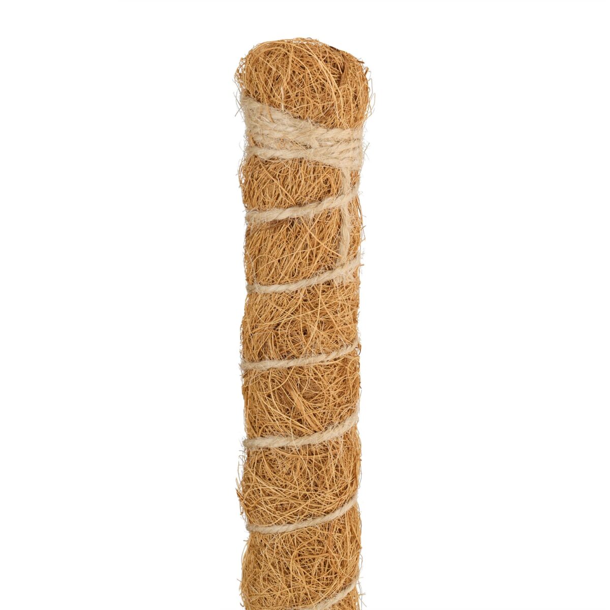 Set 2 betisoare nuca de cocos pentru sustinere flori, 65 cm, accesorii incluse - imagine 6