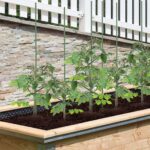 Tarusi pentru sustinere plante, set 10, 120 cm - imagine 7