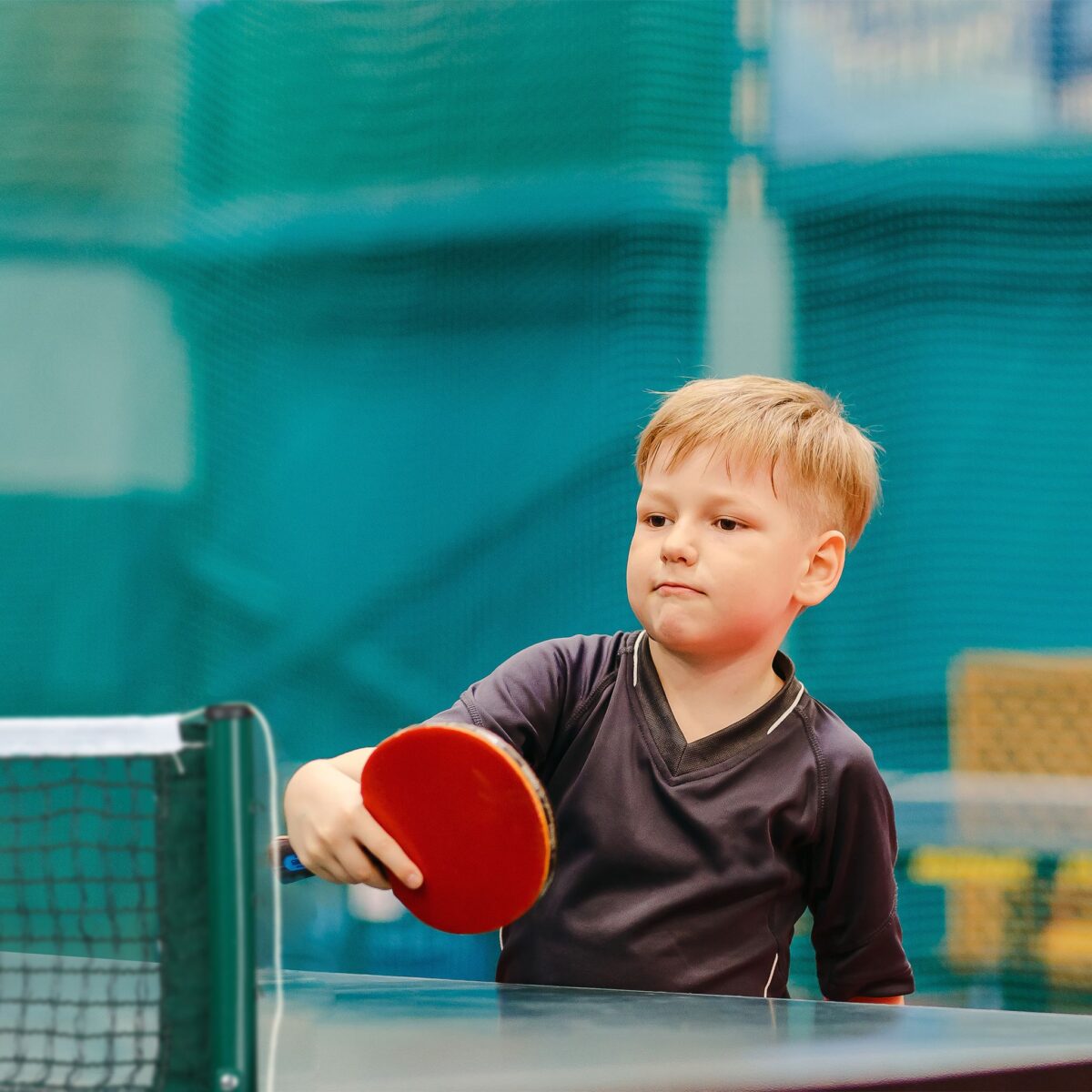 Fileu masa de ping-pong, 15 x 174 x 0,3 cm, Relaxdays - imagine 3